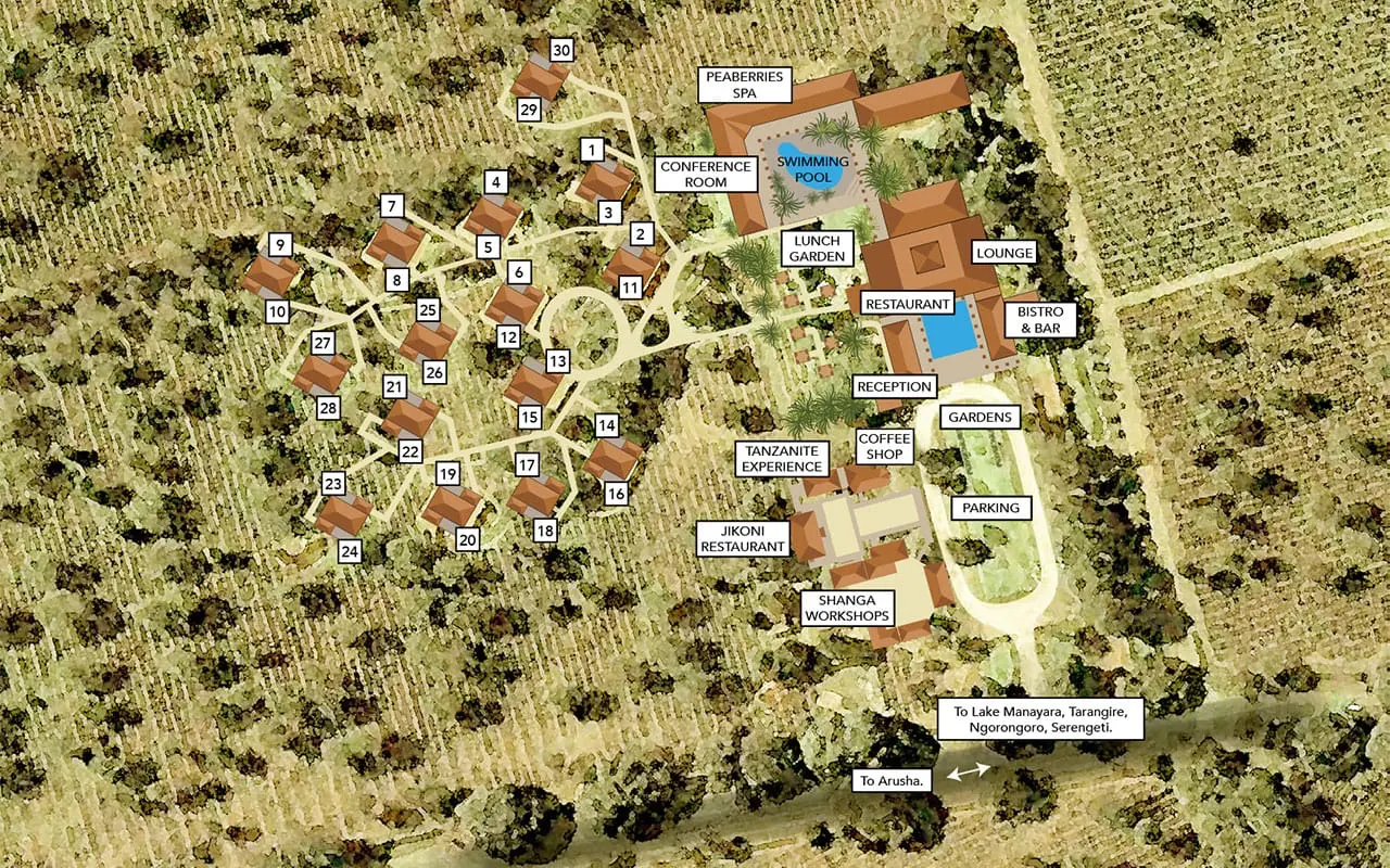 ACL Layout