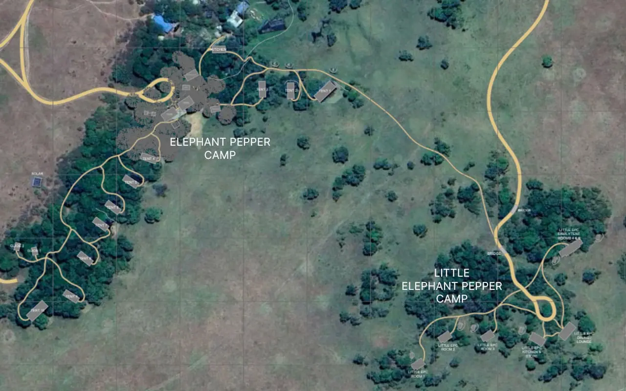 Camp Layout