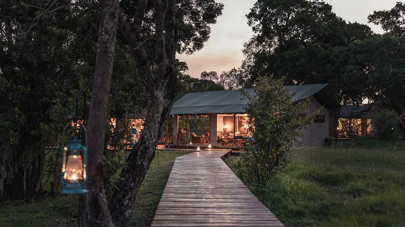 Little Elephant Pepper Camp