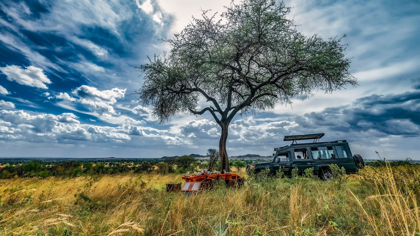 BushLunchSetUpWide Serengeti 16x9