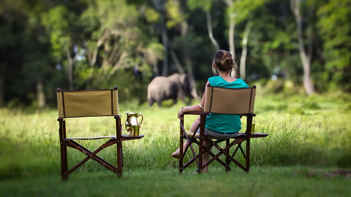 Elephant by the mess tent