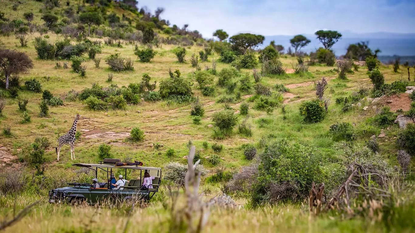 Loisaba Tented Camp game drive