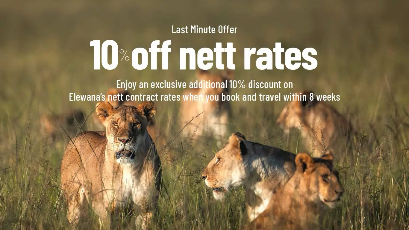 2026 10pc Off Nett Rates