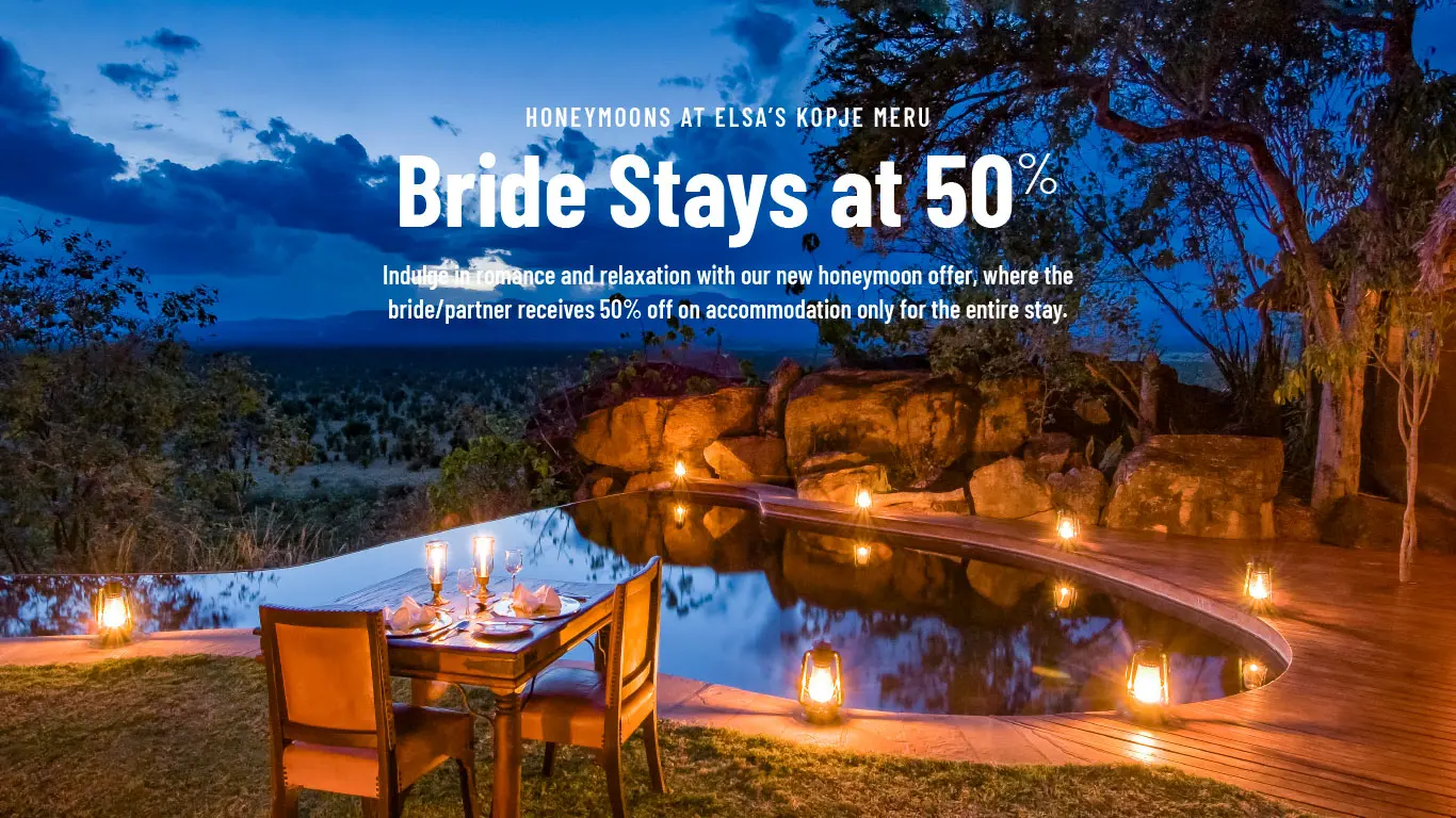 2026 Honeymoons At EKM