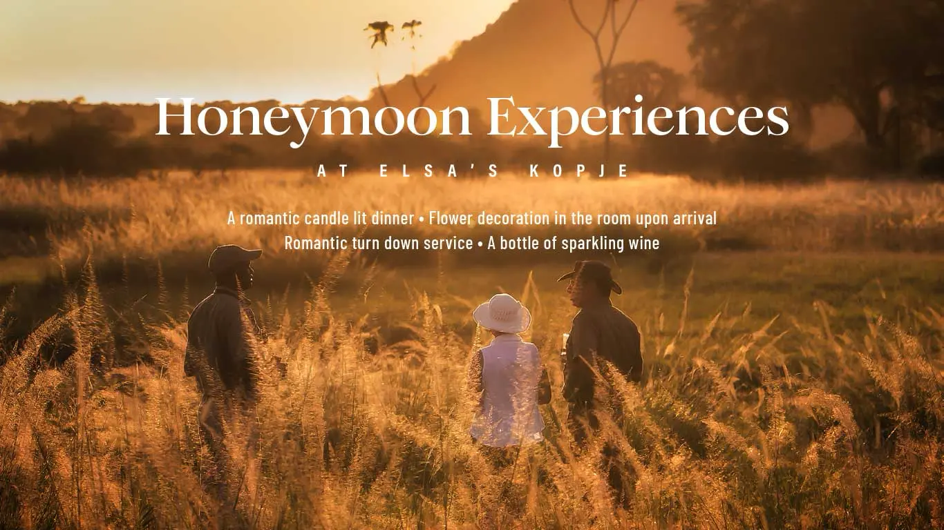 2026 Honeymoons at EKM Web