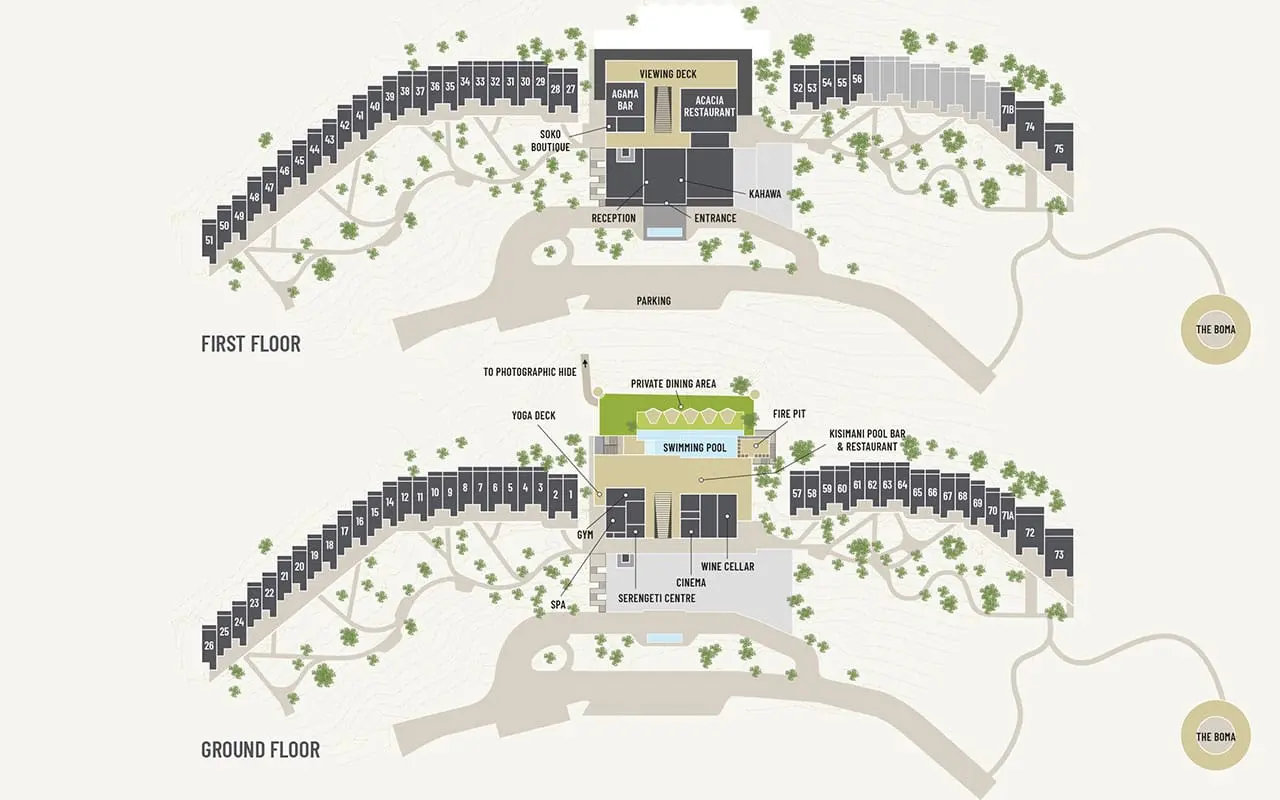 SXR Layout