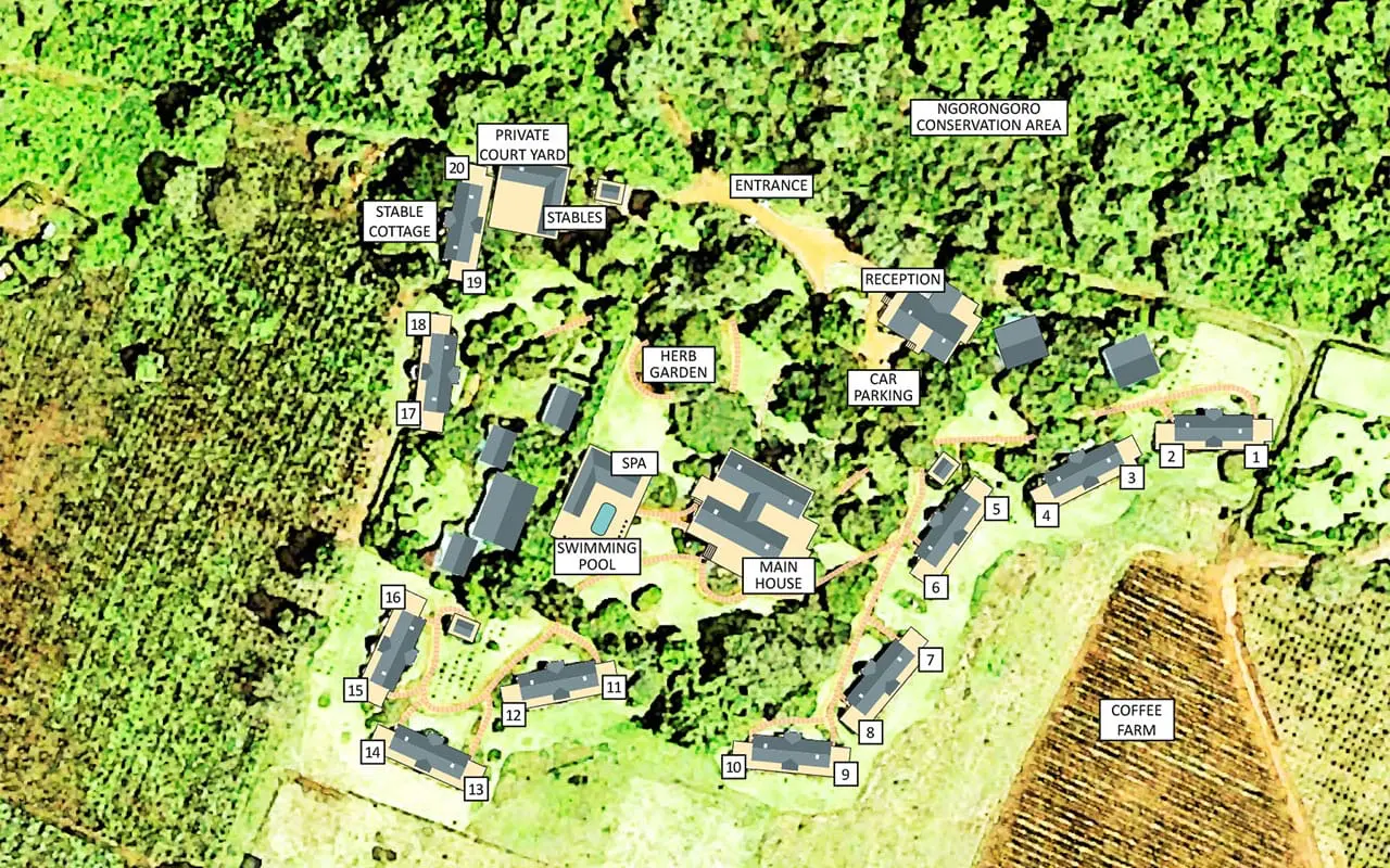 ACL Layout