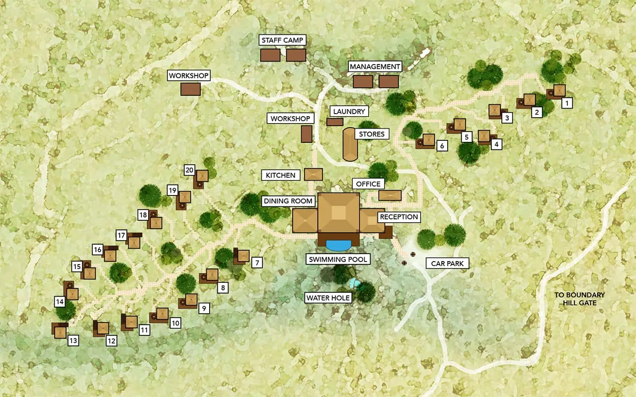 TTT Layout