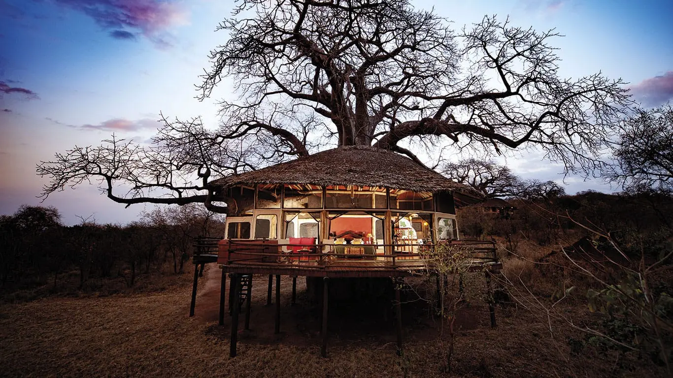 Tarangire Treetops