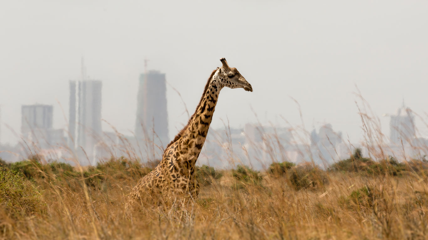 Nairobi