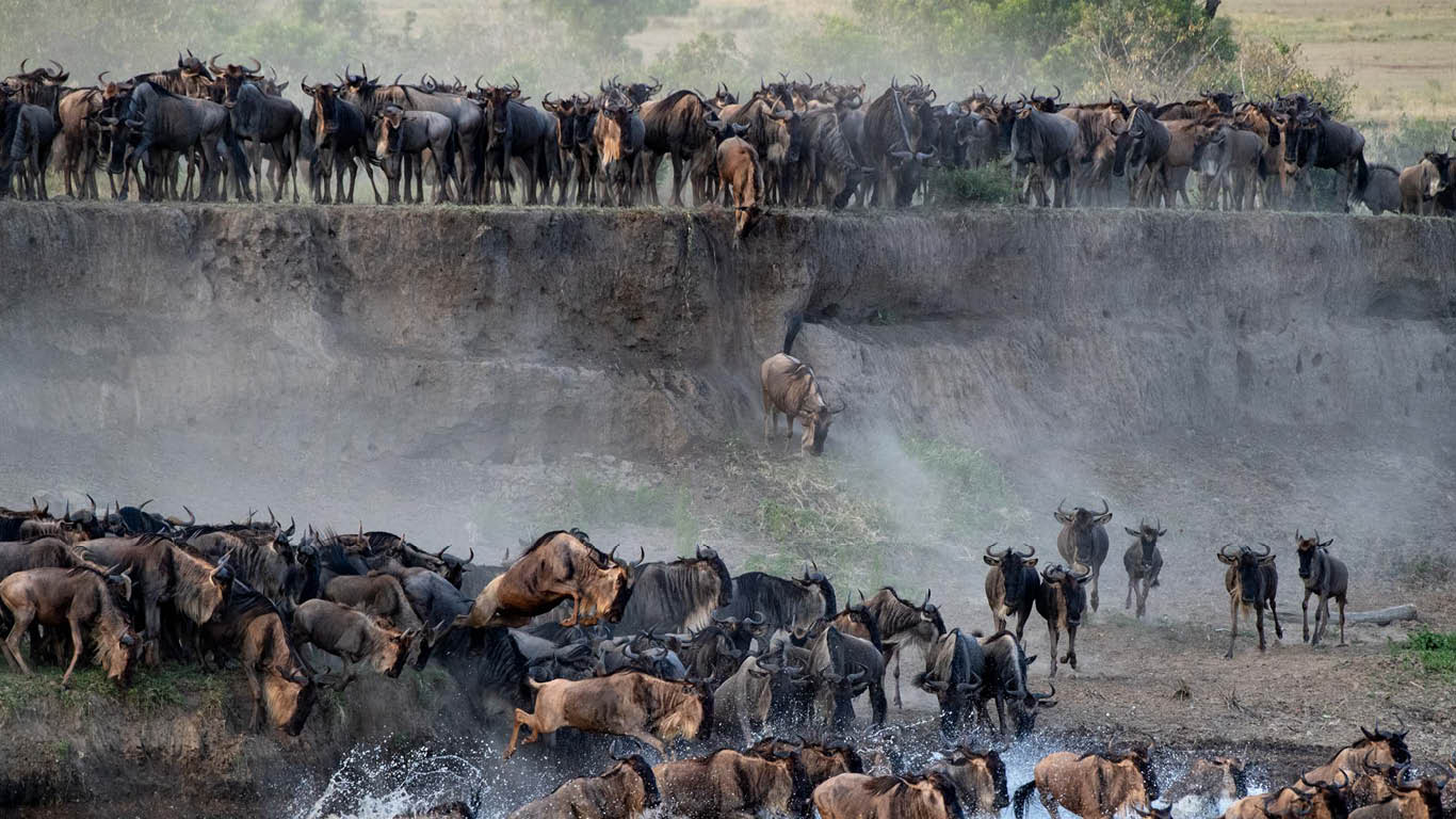 Serengeti-Mara-River-Crossing
