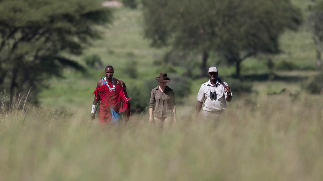 Tarangire-Game-Walk